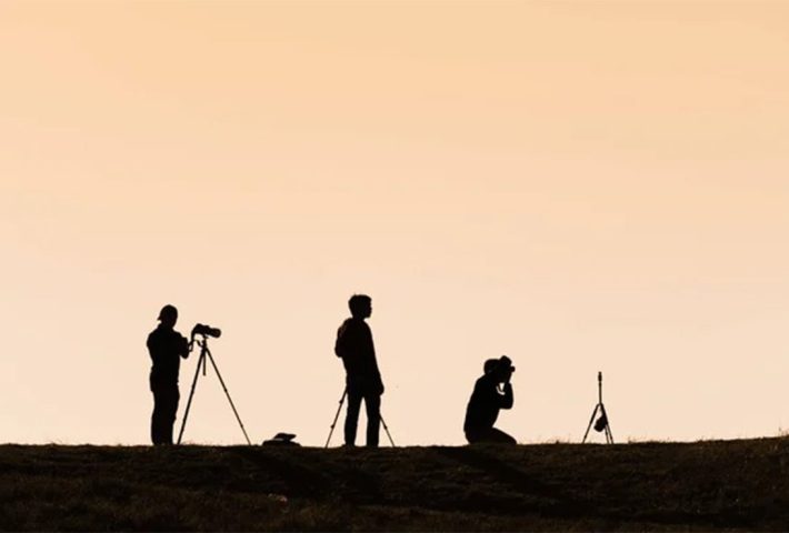 MUESTRA DE CORTOMETRAJES