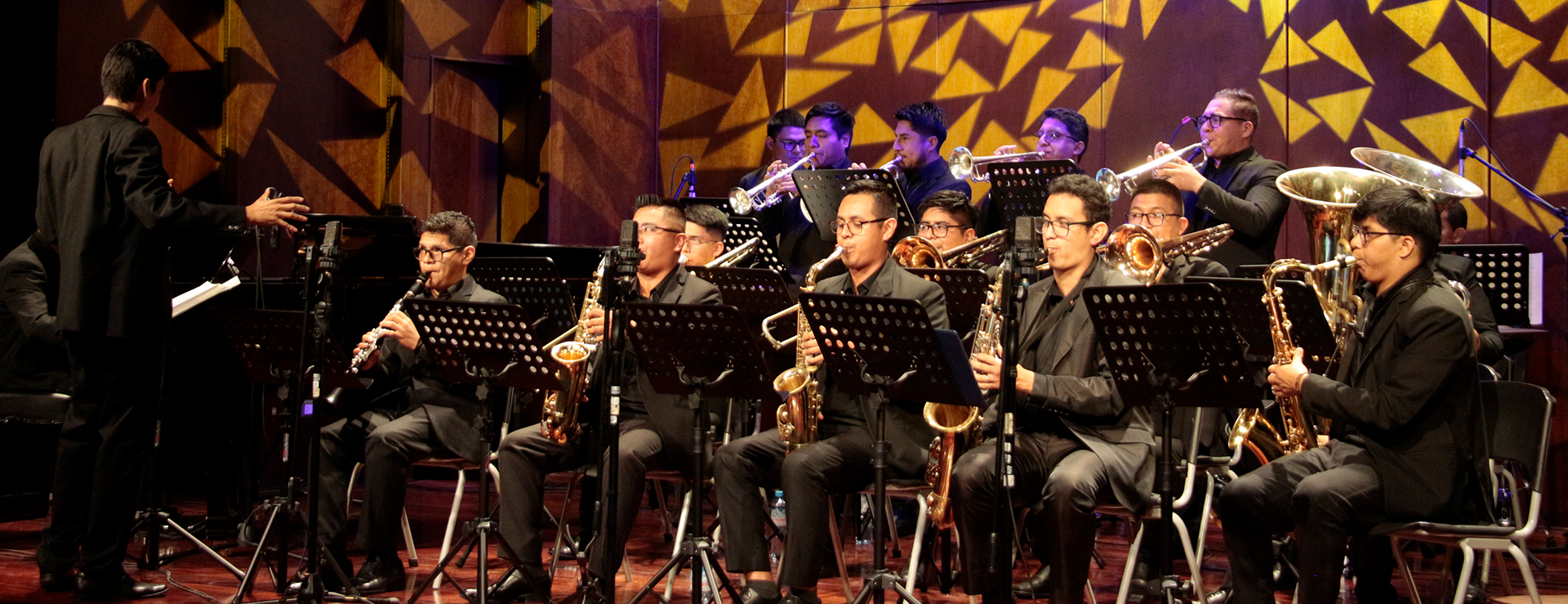 FIESTA DE LA MÚSICA