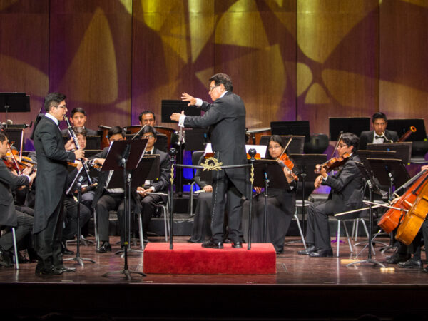 FIESTA DE LA MÚSICA