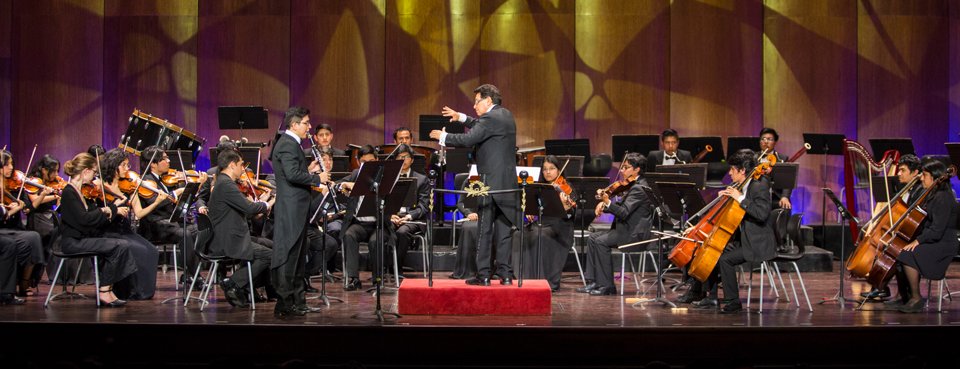 FIESTA DE LA MÚSICA