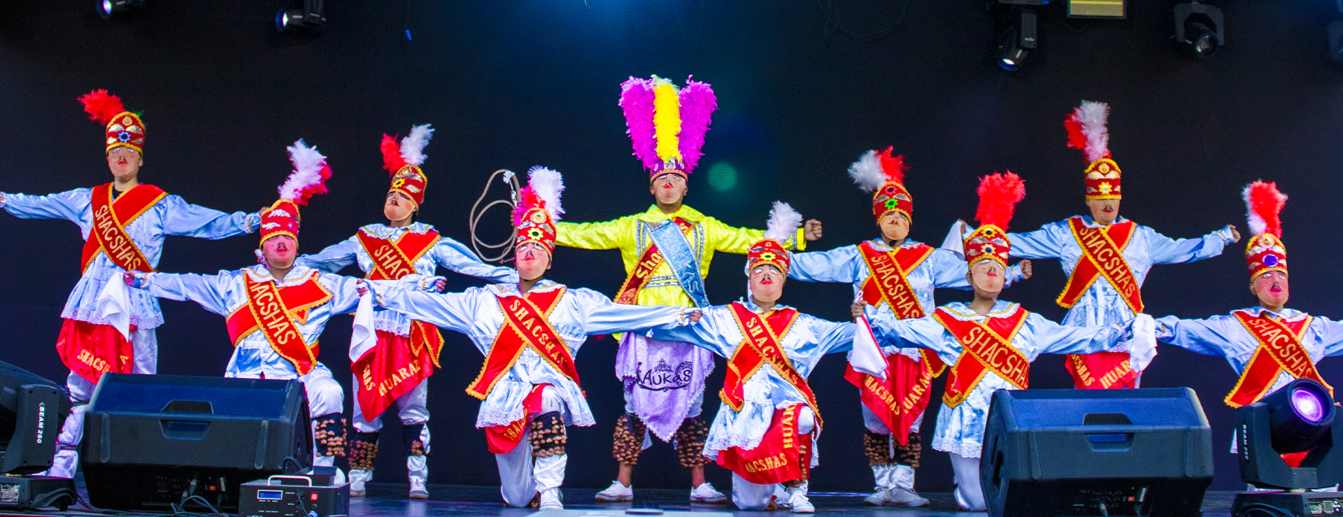 FIESTA DE LA MÚSICA