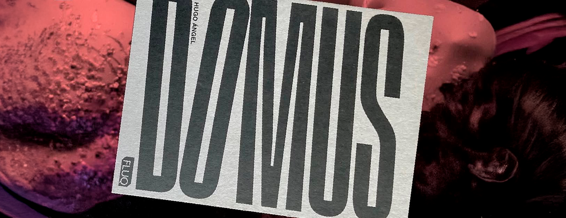 DOMUS