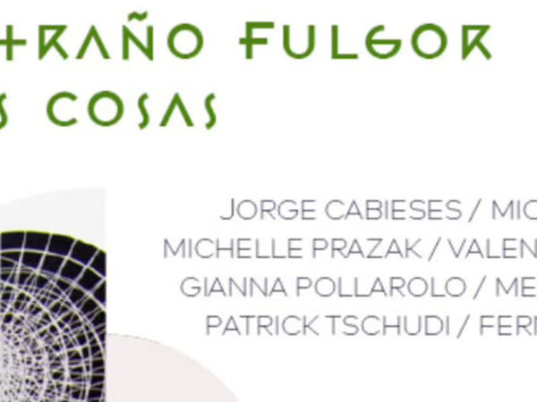 EL EXTRAÑO FULGOR DE LAS COSAS