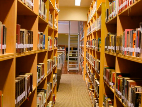 10 LIBROS PARA COMPRENDER LA INDEPENDENCIA PERUANA