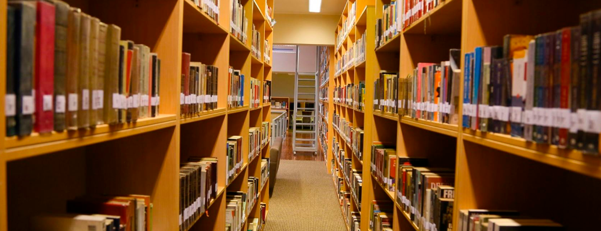 10 LIBROS PARA COMPRENDER LA INDEPENDENCIA PERUANA
