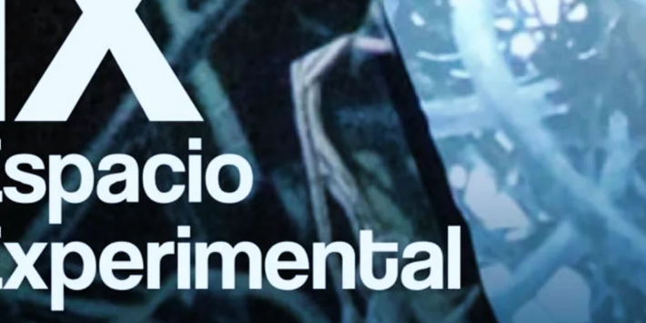 IX ESPACIO EXPERIMENTAL