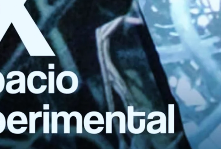 IX ESPACIO EXPERIMENTAL
