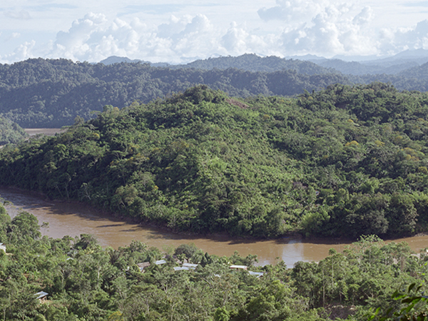 IPÁAMAMU – HISTORIAS DE WAWAIM