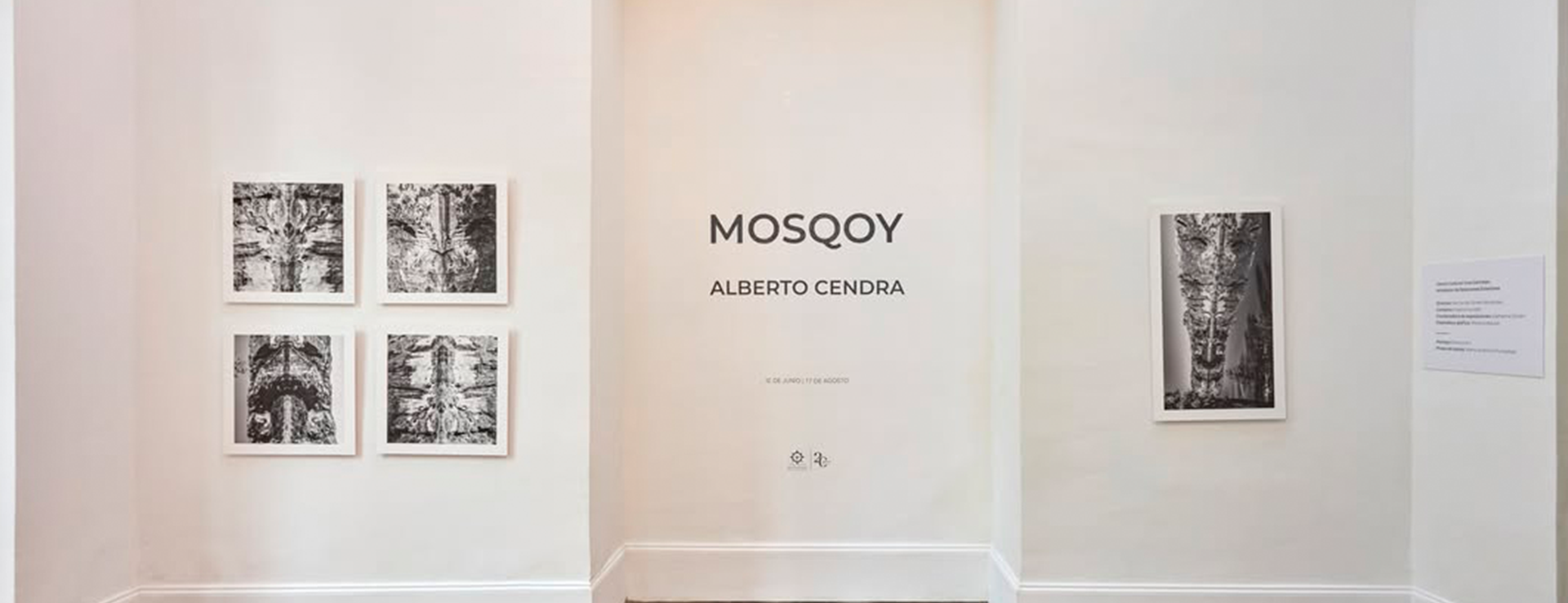 MOSQOY