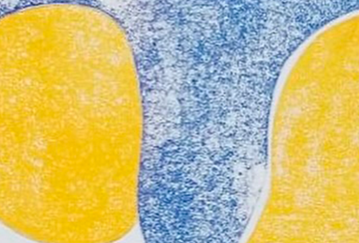 RESIDENCIA EN STRASBOURG Y OTRAS FANTASÍAS