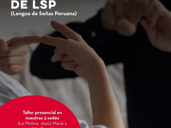 INTRODUCCIÓN DE LSP.