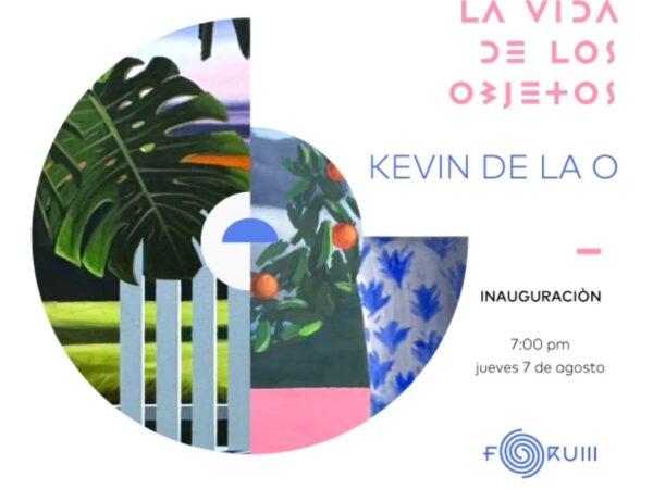 LA VIDA DE LOS OBJETOS