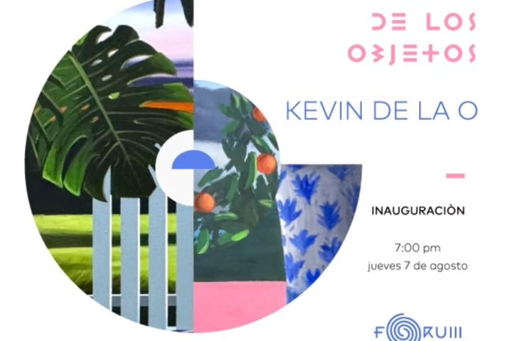 LA VIDA DE LOS OBJETOS