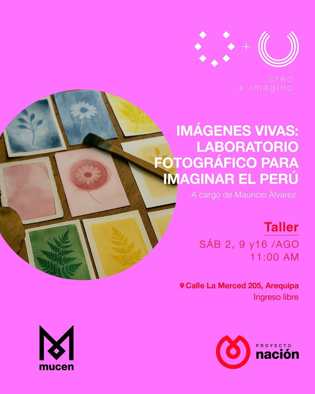 IMÁGENES VIVAS