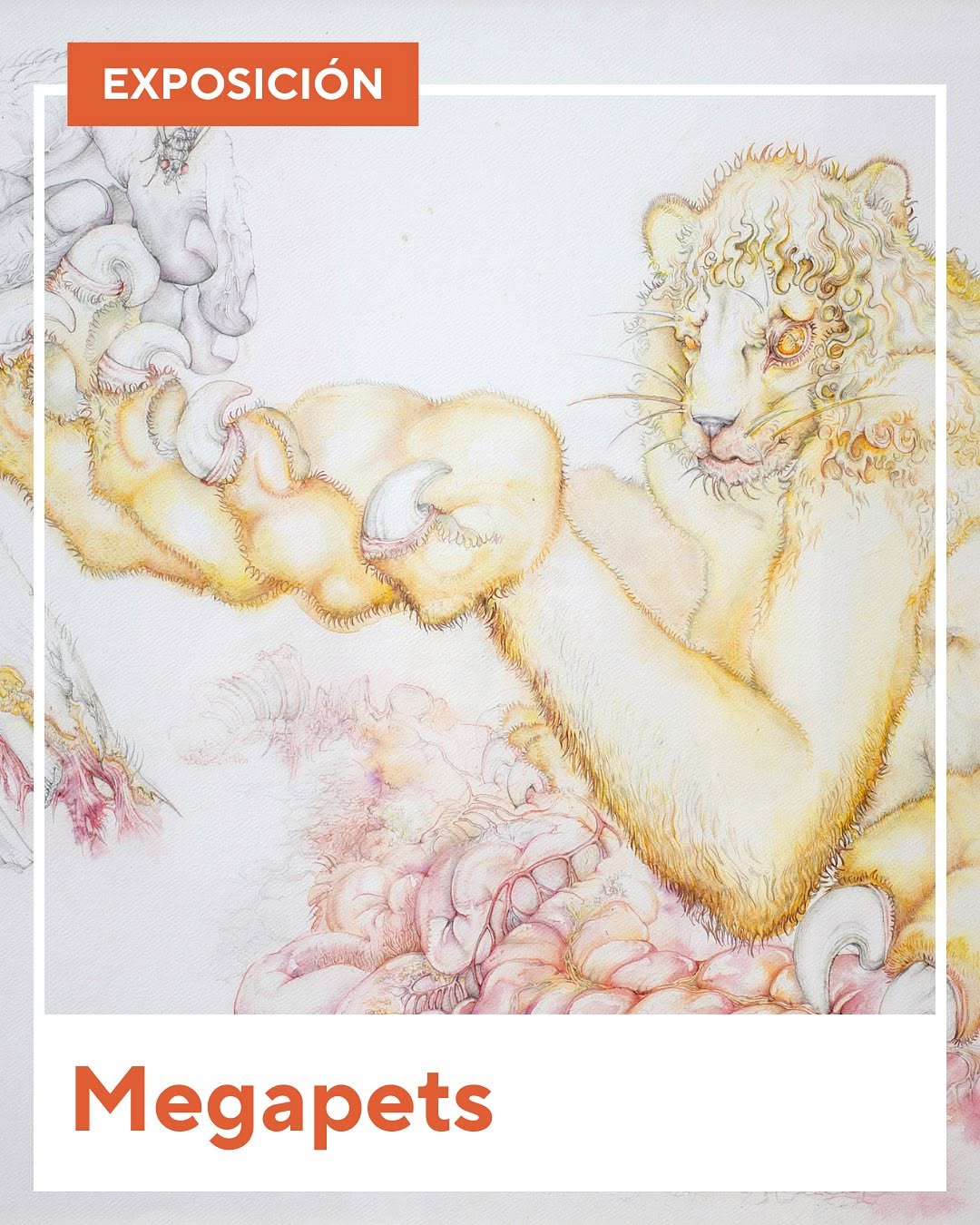 MEGAPETS