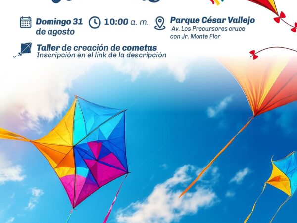 FESTIVAL DE COMETAS