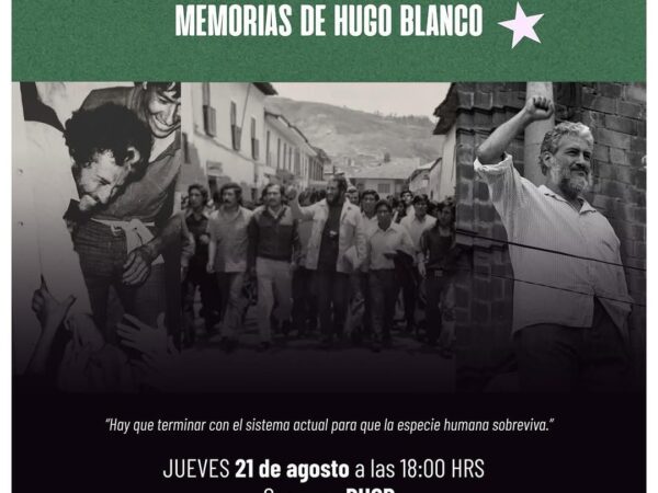 DE PIEDRA Y DE PALOMA