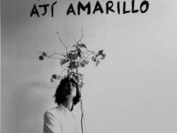 DIARIO DE UNA PLANTA DE AJÍ AMARILLO