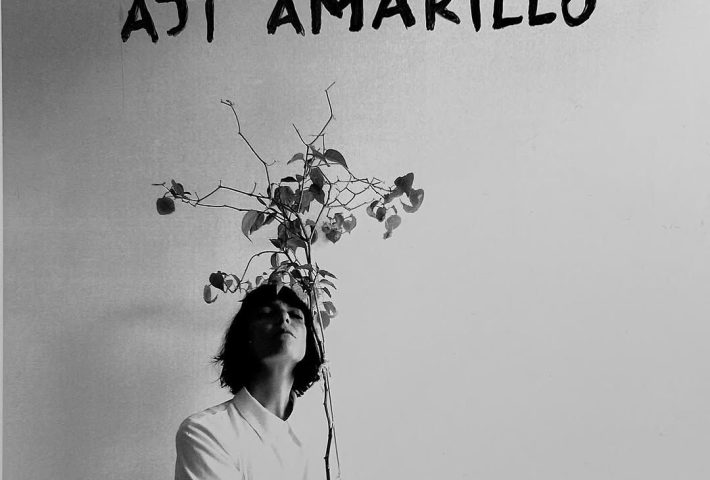 DIARIO DE UNA PLANTA DE AJÍ AMARILLO