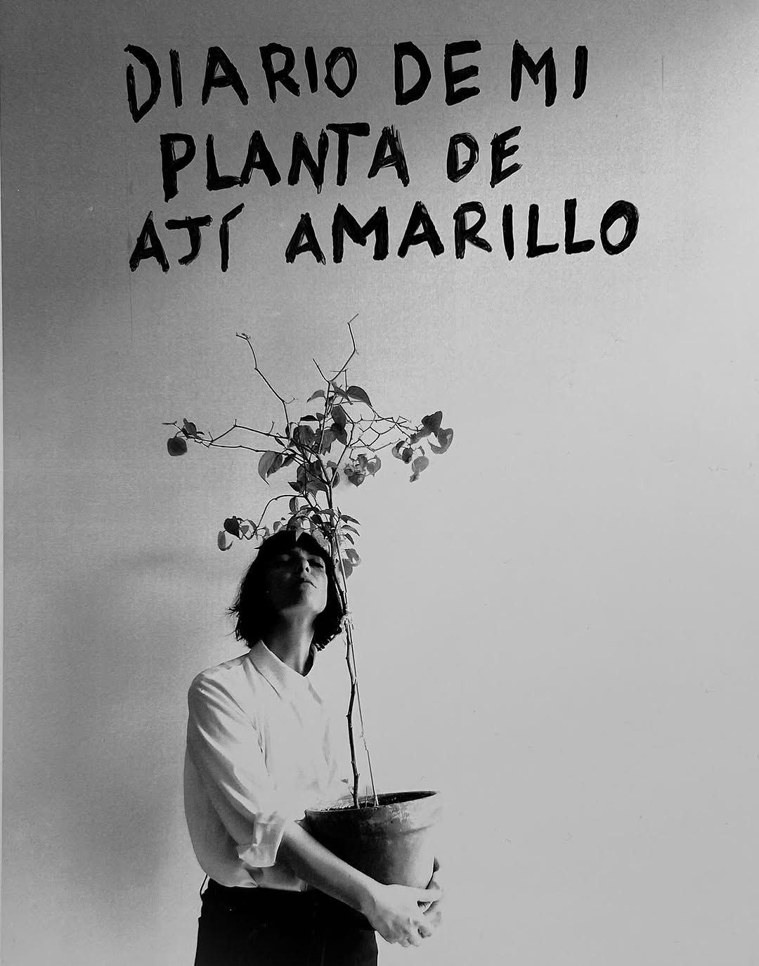 DIARIO DE UNA PLANTA DE AJÍ AMARILLO