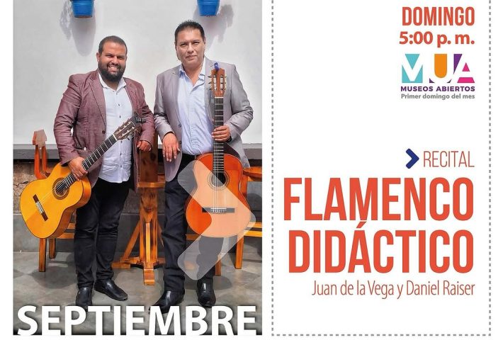 FLAMENCO DIDÁCTICO