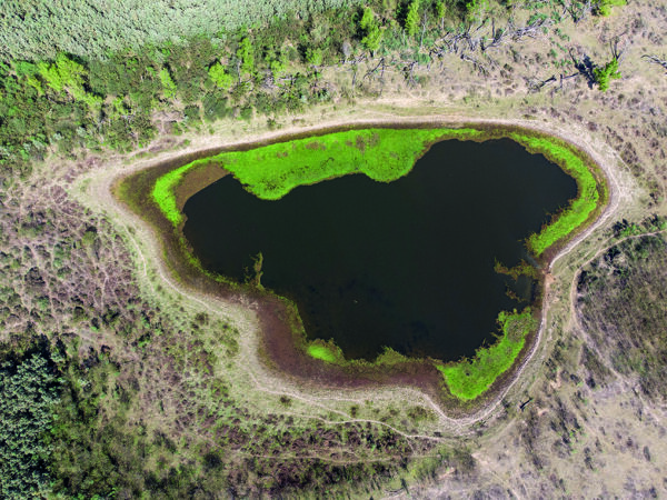 LA AMAZONIA Y EL DELTA DEL PARANÁ