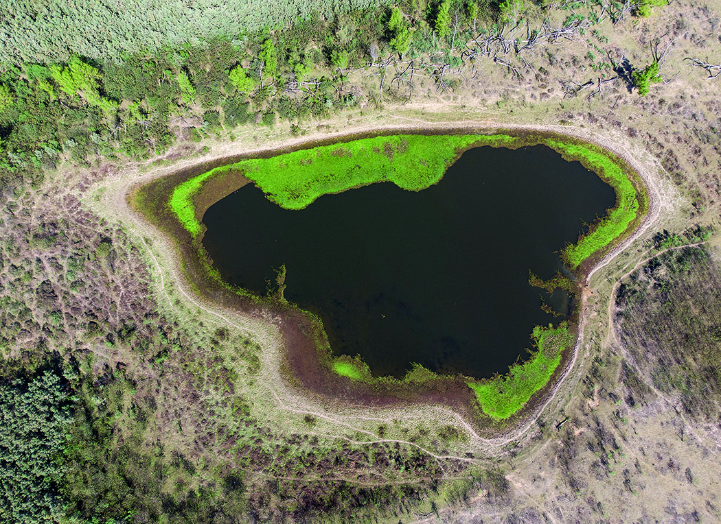 LA AMAZONIA Y EL DELTA DEL PARANÁ