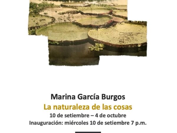 LA NATURALEZA DE LAS COSAS