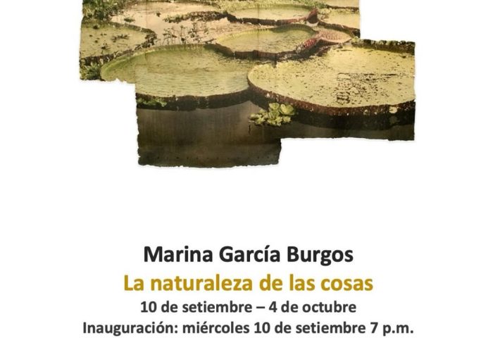 LA NATURALEZA DE LAS COSAS