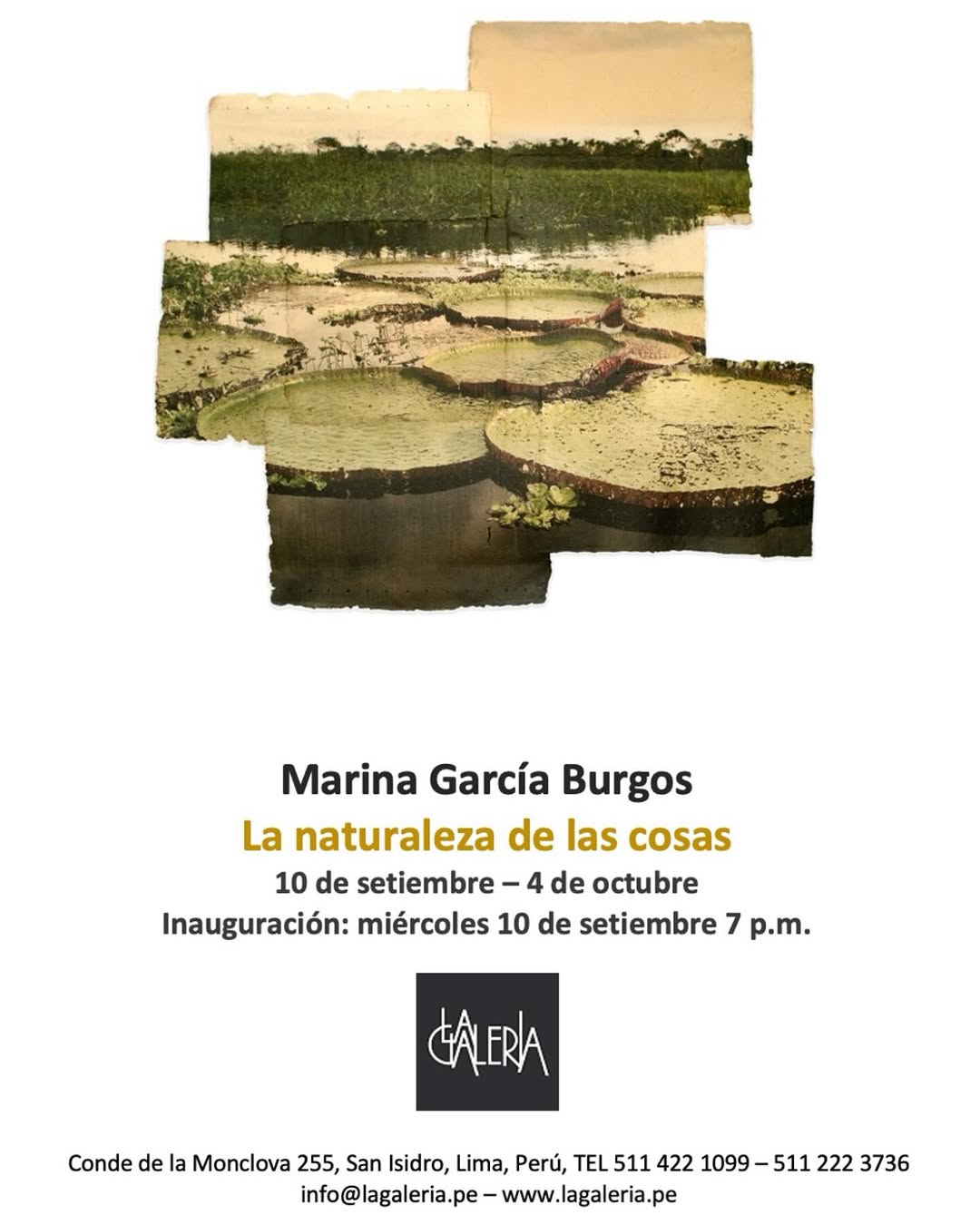 LA NATURALEZA DE LAS COSAS