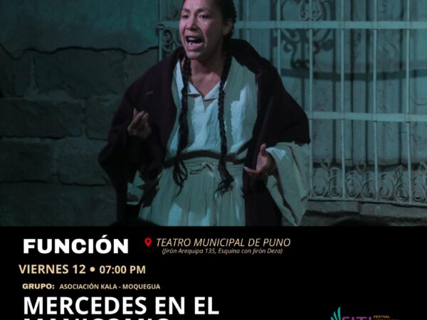 MERCEDES EN EL MANICOMIO