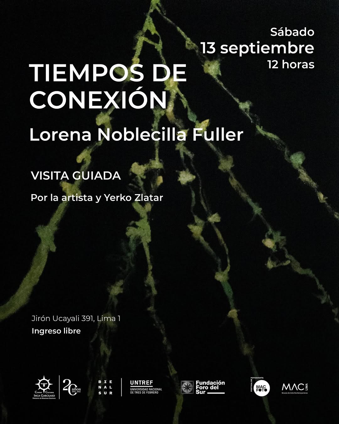 TIEMPOS DE CONEXIÓN