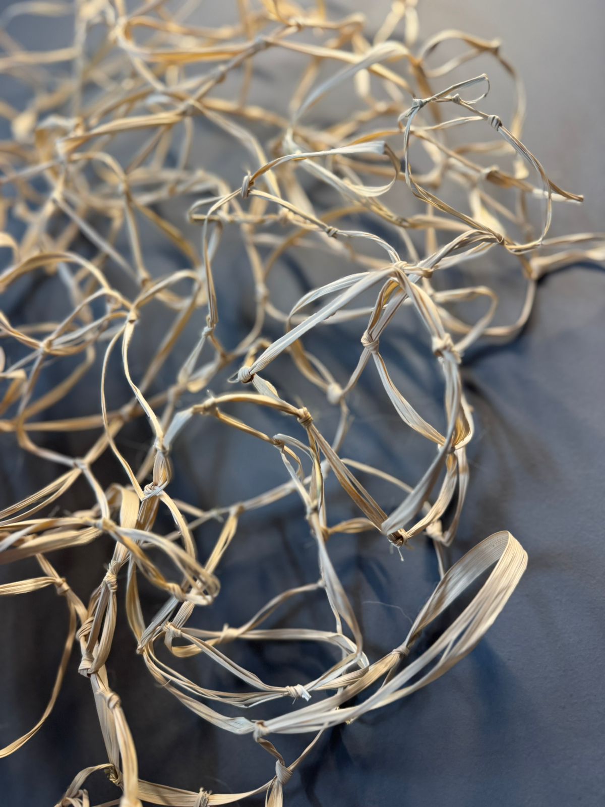 FIBRA