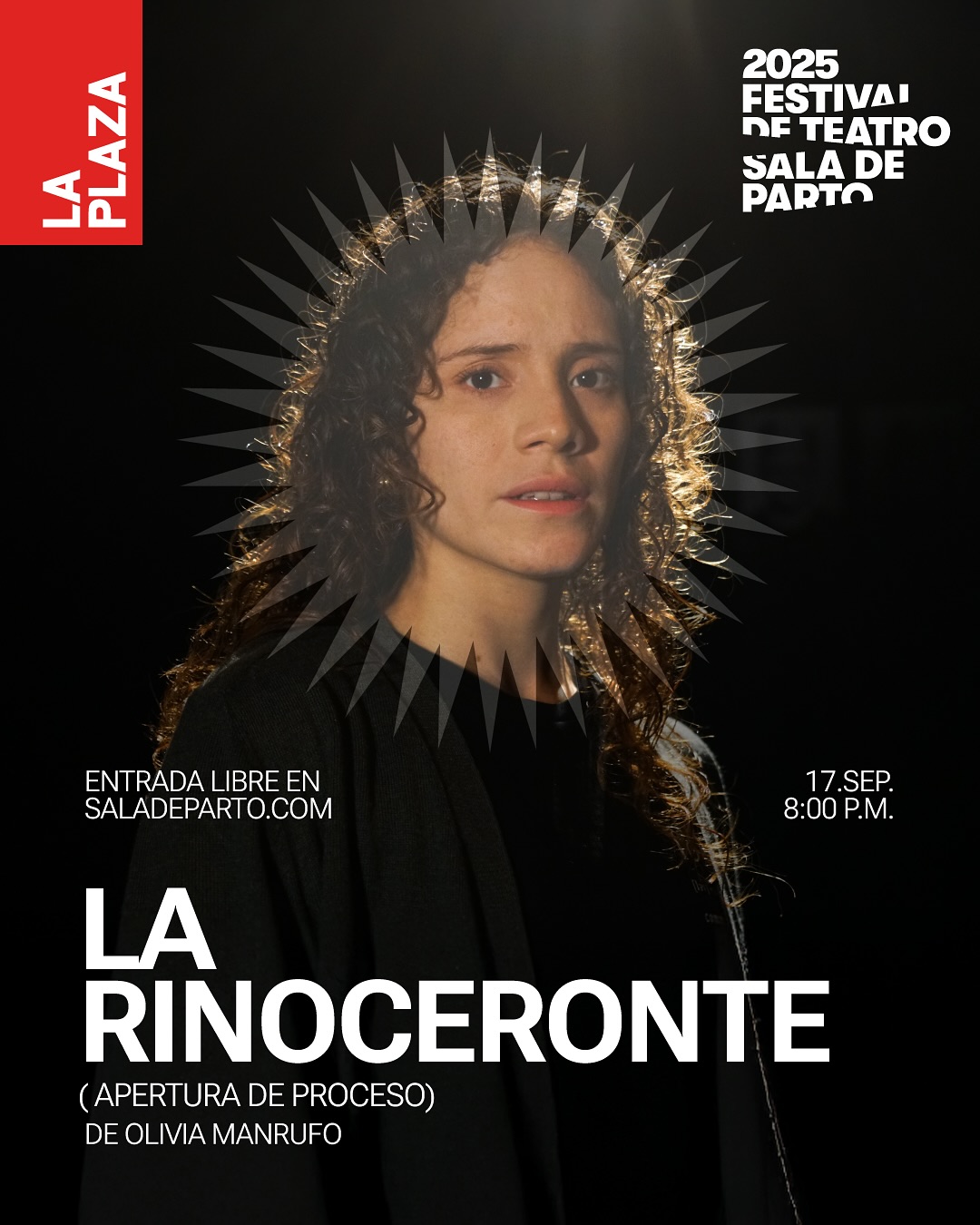 LA RINOCERONTE