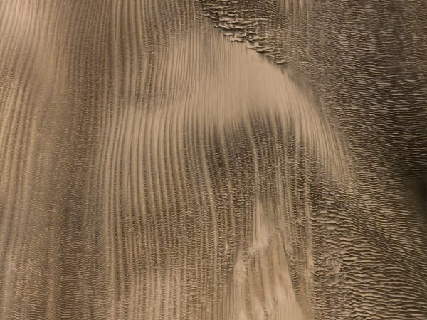 MIRADAS FRESCAS – VISIONES NUEVAS