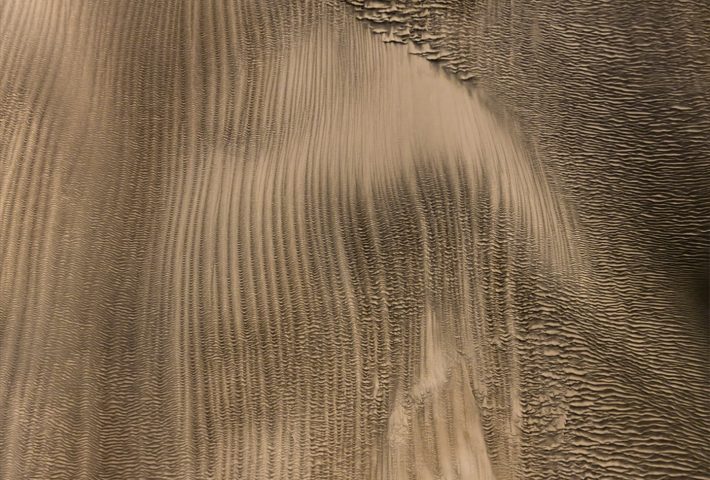 MIRADAS FRESCAS – VISIONES NUEVAS