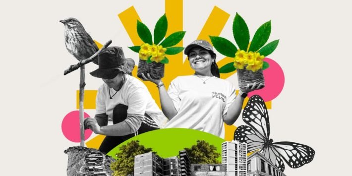 FESTIVAL CIUDADES VIVAS