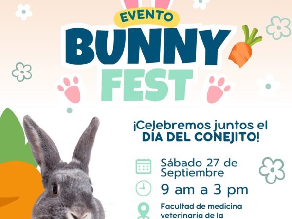 BUNNY FEST 2025