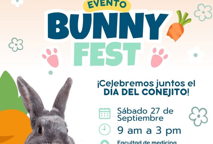 BUNNY FEST 2025