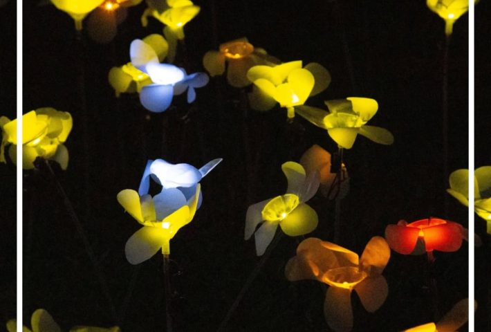 MEMORIA DE UN HERBARIO