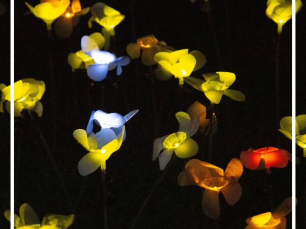 MEMORIA DE UN HERBARIO