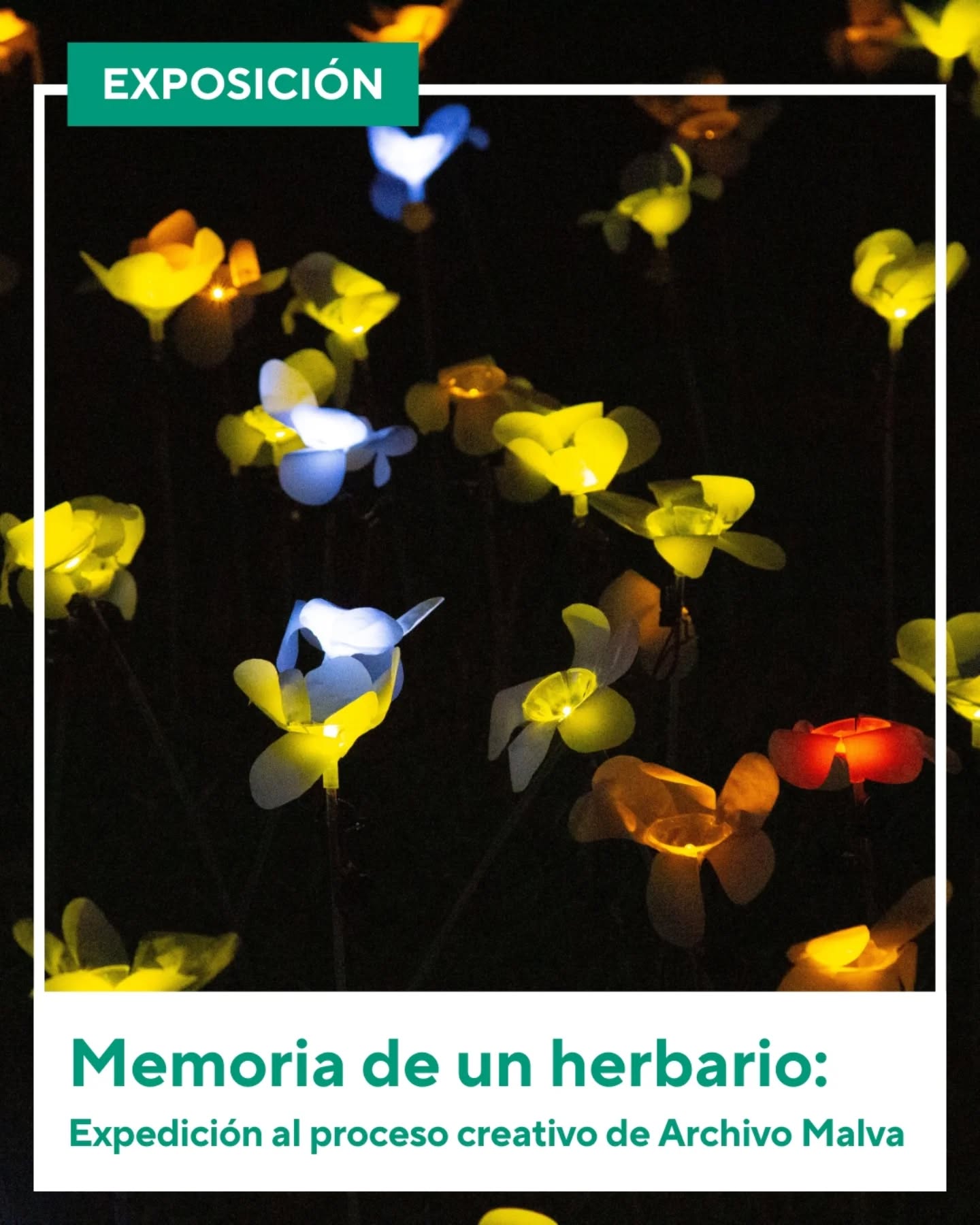 MEMORIA DE UN HERBARIO