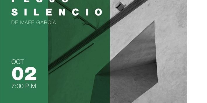 MUSEO, FLUJO, SILENCIO
