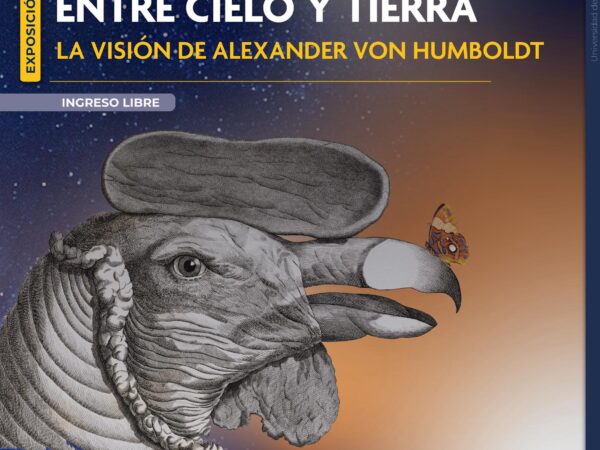 ENTRE CIELO Y TIERRA
