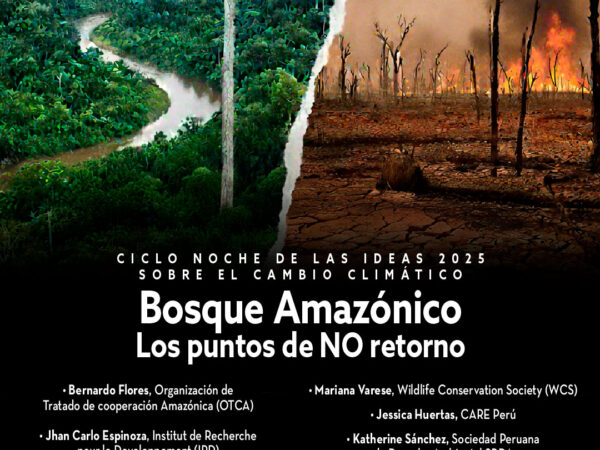 BOSQUE AMAZÓNICO