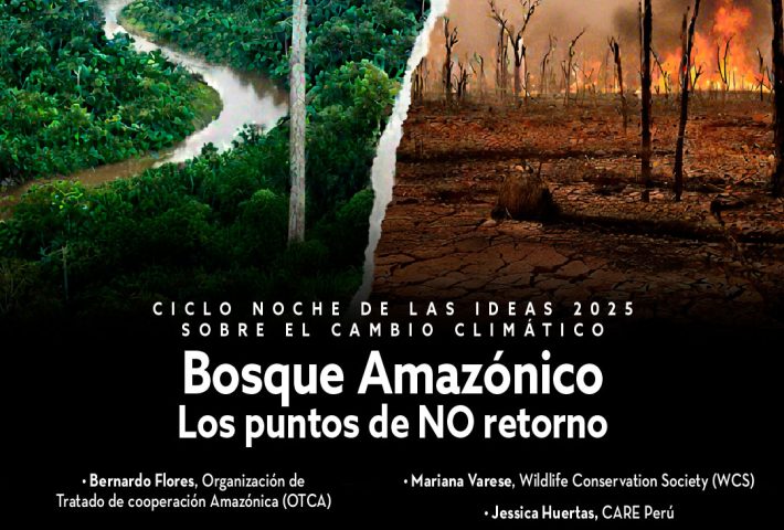 BOSQUE AMAZÓNICO