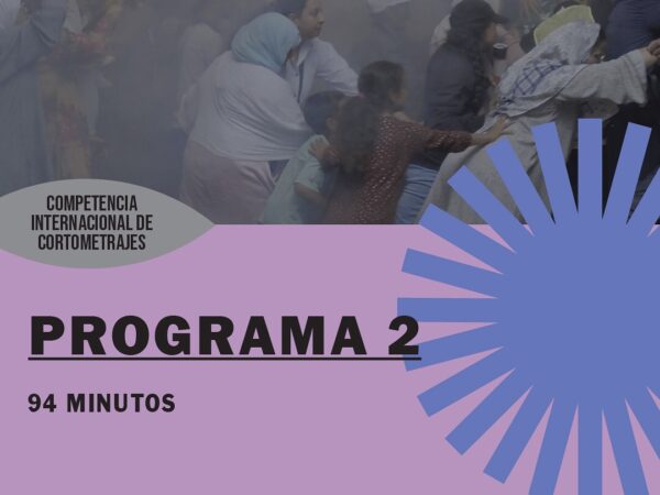 CORTOMETRAJES  PROGRAMA 2