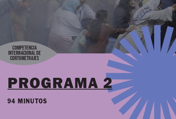 CORTOMETRAJES  PROGRAMA 2