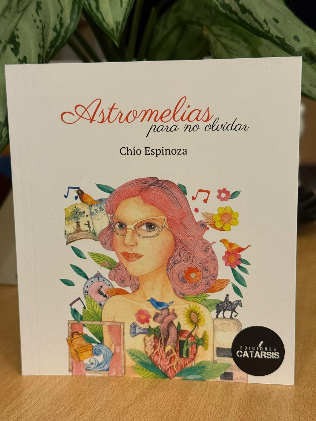 ASTROMELIAS PARA NO OLVIDAR