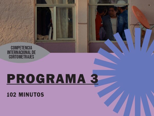 CORTOMETRAJES PROGRAMA 3